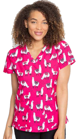 8564 Lovable Llamas (LVLL)